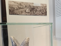 IMG 20240423 100241 830