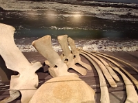 IMG 20240423 102857 859