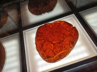 Ein nicht ganz kleiner Bernstein