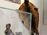 IMG 20240423 115039 708