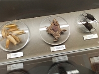 IMG 20240423 120015 852