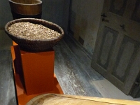 Scherbaum, Fichtenlohe und Wasserbottich.