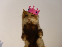 Herner Hamster