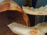 abheben413 1