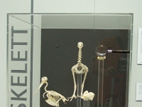 abheben440