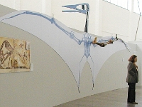 ... Flugsaurier ...